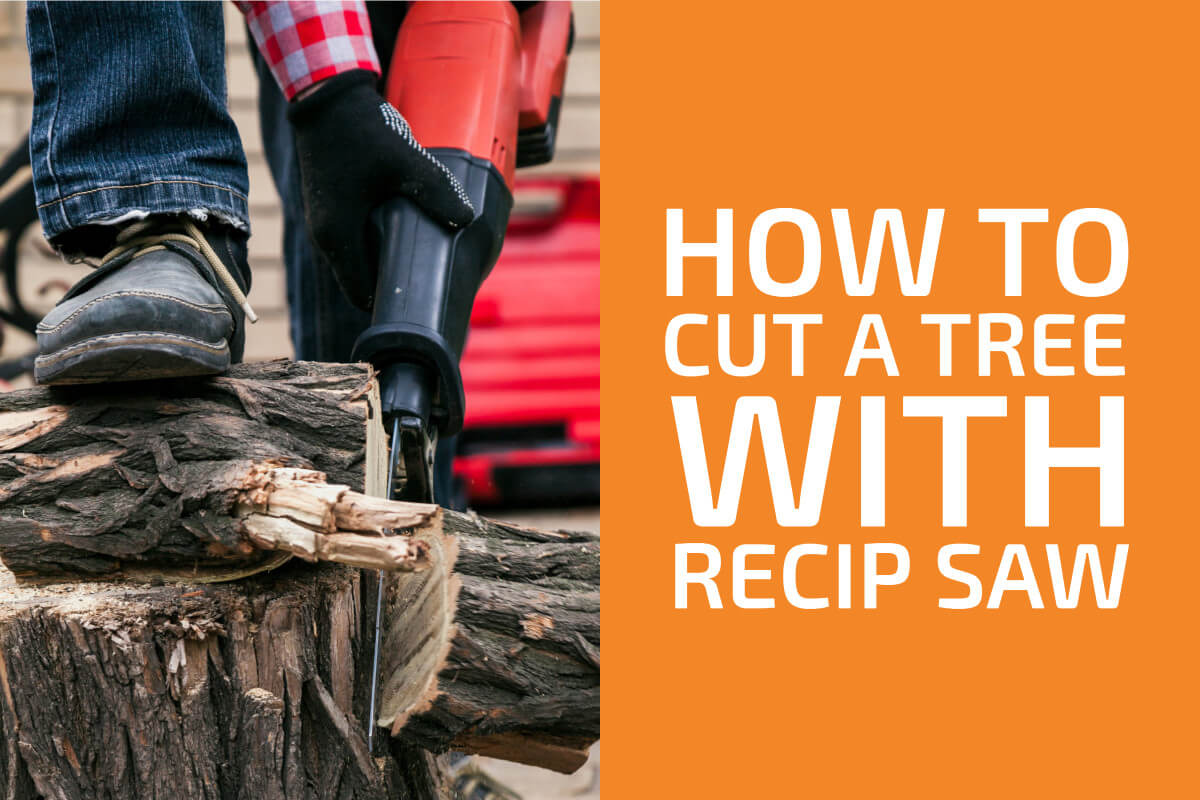 Can a Reciprocating Saw Cut Tree Branches 