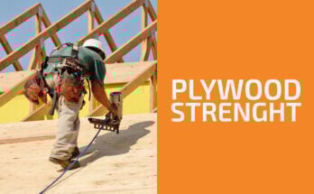 How Much Weight Can Plywood Support?