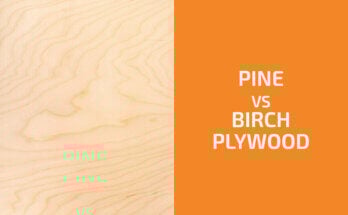 Pine vs. Birch Plywood: Which One to Use?