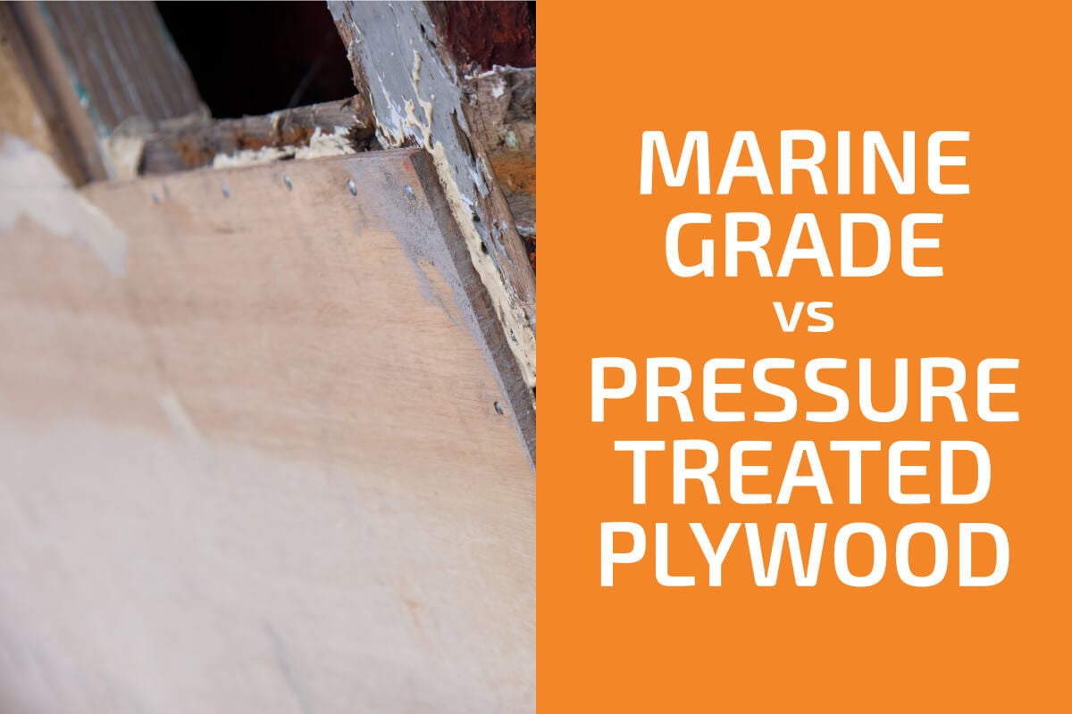 Marine Grade vs. Pressure Treated Plywood: Which One to Use