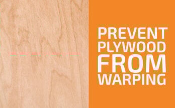 How to Prevent Plywood from Warping