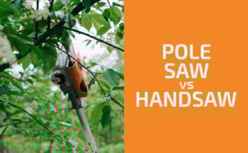 Pole Saw vs. Chainsaw: Which to Use?