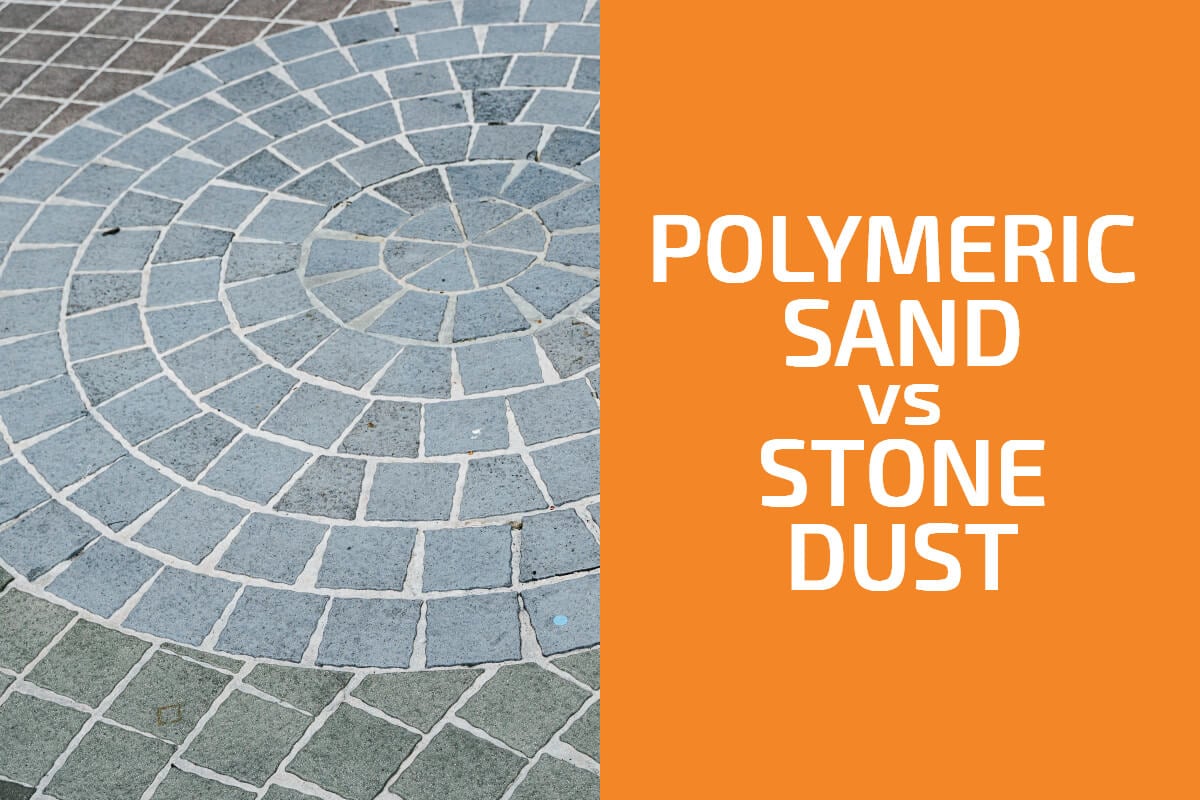 Polymeric Sand vs. Stone Dust: Which to Choose?