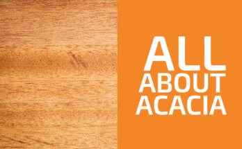 Is Acacia a Hardwood or a Softwood? (& Is It Strong?)