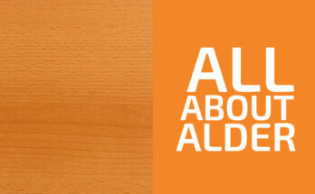Is Alder a Hardwood or a Softwood? (& Is It Strong?)