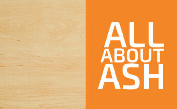 Is Ash a Hardwood or a Softwood? (& Is It Strong?)