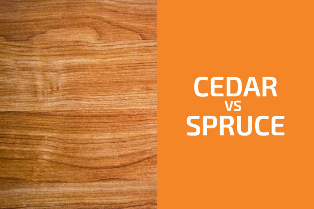 Visual Reference: Cedar Vs Spruce Which One To Use
