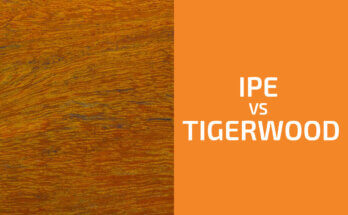 Ipe vs. Tigerwood: Which One to Use?