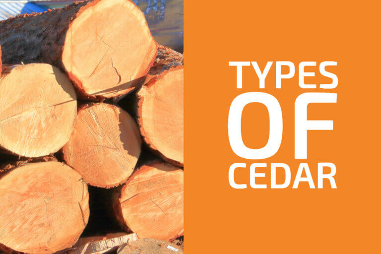 8-types-of-cedar-wood-which-is-best-for-woodworking-handyman-s-world