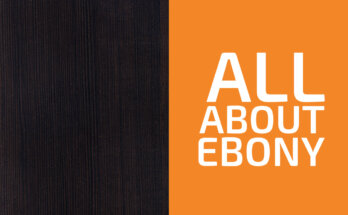 Is Ebony a Hardwood or a Softwood? (& Is It Strong?)