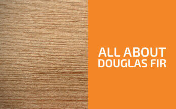 Is Douglas Fir a Hardwood or a Softwood? (& Is It Strong?)