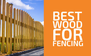 Best Wood for Fencing: Types, Considerations & More
