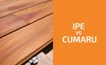 Ipe vs. Cumaru: Which One to Use?