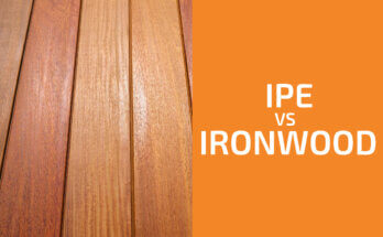 Ipe vs. Ironwood: Which One to Use?
