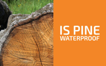 Is Pine Wood Waterproof?
