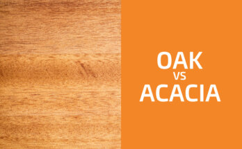Oak vs. Acacia: Which One to Use?