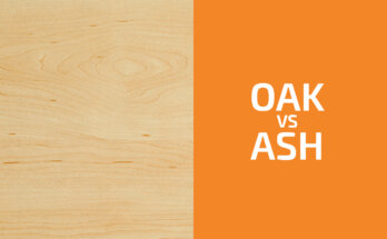 Oak vs. Ash: Which One to Use?