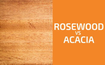 Rosewood vs. Acacia: Which One to Use?