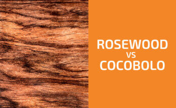 Rosewood vs. Cocobolo: Which One to Use?