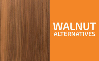 Walnut Alternatives: X Similar Types of Wood