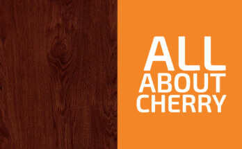 Is Cherry a Hardwood or a Softwood? (& Is It Strong?)