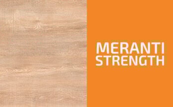Is Meranti a Hardwood or a Softwood? (& Is It Strong?)