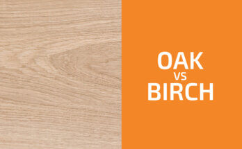Oak vs. Birch: Which One to Use?