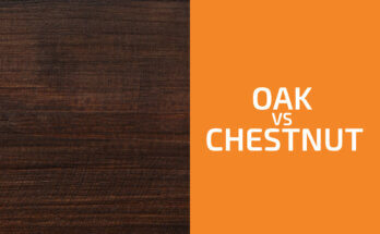 Oak vs. Chestnut: Which One to Use?