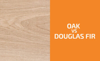 Oak vs. Douglas Fir: Which One to Use?