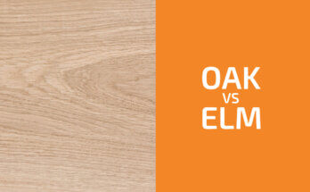 Oak vs. Elm: Which One to Use?
