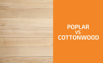 Poplar vs. Cottonwood: Which One to Use?