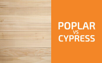 Poplar vs. Cypress: Which One to Use?