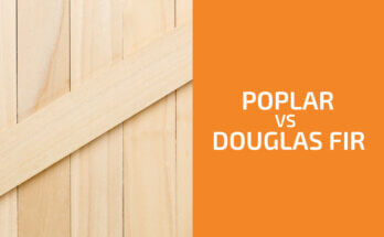 Poplar vs. Douglas Fir: Which One to Use?