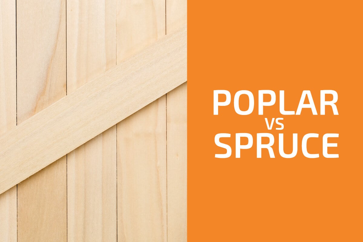 Poplar vs. Spruce: Which One to Use?
