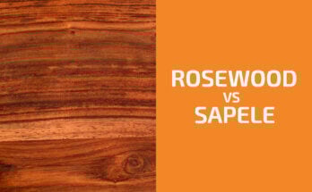 Rosewood vs. Sapele: Which One to Use?