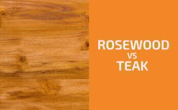 Rosewood vs. Teak: Which One to Use?