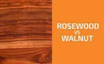 Rosewood vs. Walnut: Which One to Use?