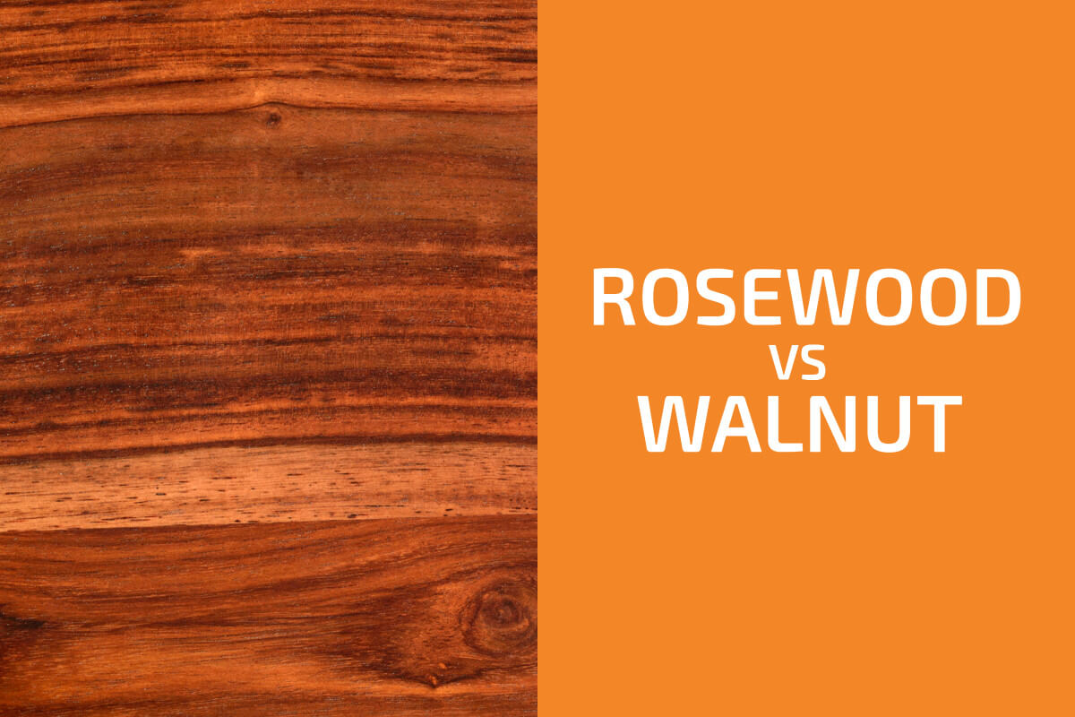 Rosewood vs. Walnut: Which One to Use?