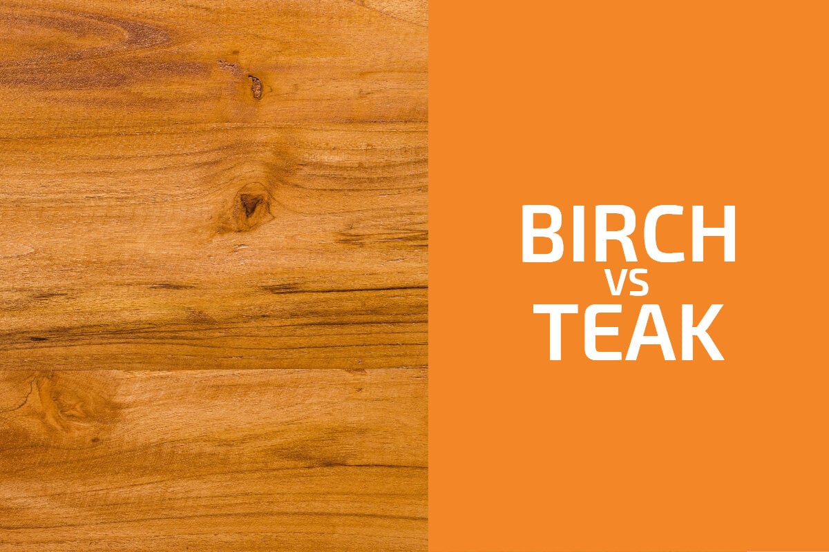 Birch vs. Teak: Which One to Use?