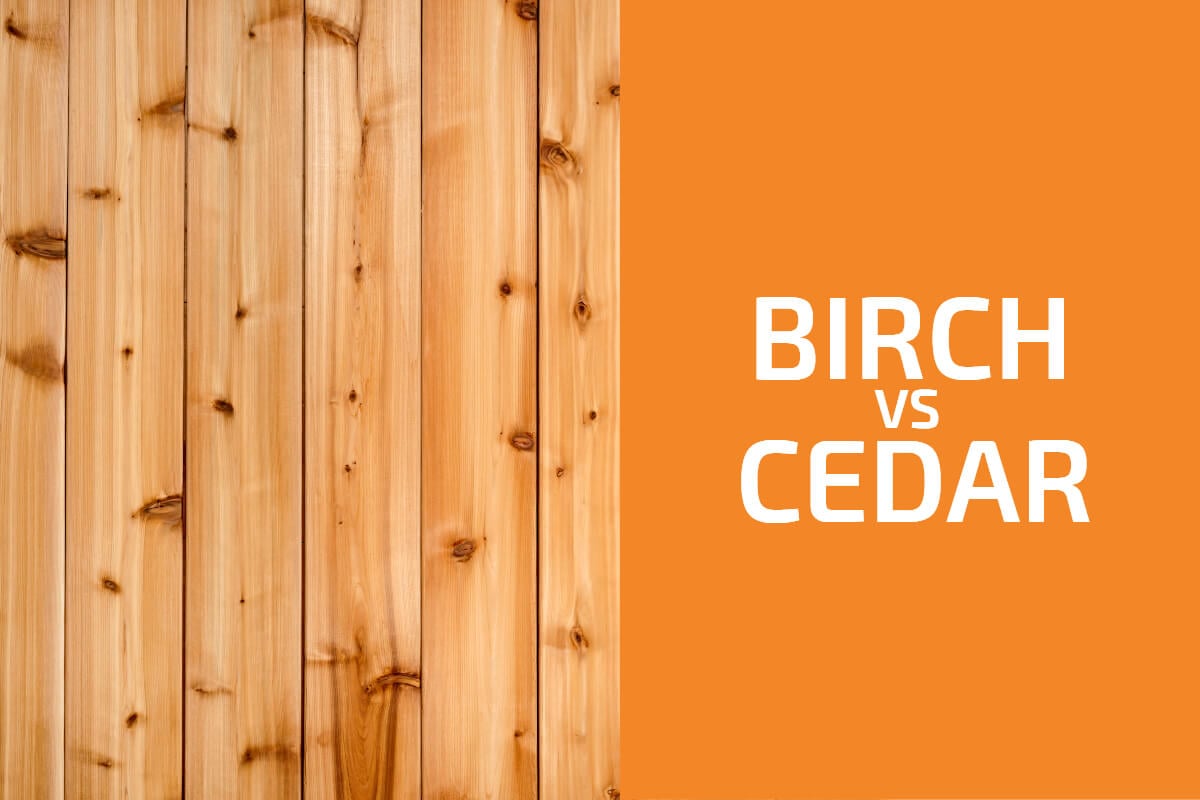 Birch vs. Cedar: Which One to Use?