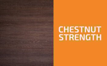 Is Chestnut a Hardwood or a Softwood? (& Is It Strong?)