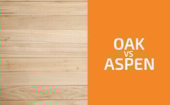 Oak vs. Aspen