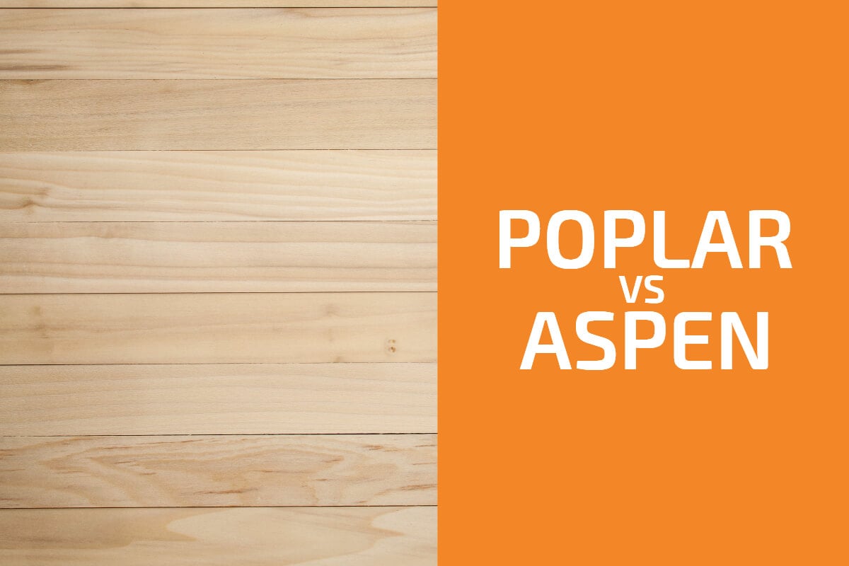 Poplar vs. Aspen: Which One to Use?