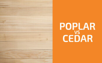 Poplar vs. Cedar: Which One to Use?