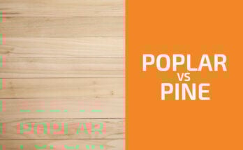 Poplar vs. Pine: Which One to Use?