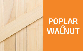 Poplar vs. Walnut: Which One to Use?