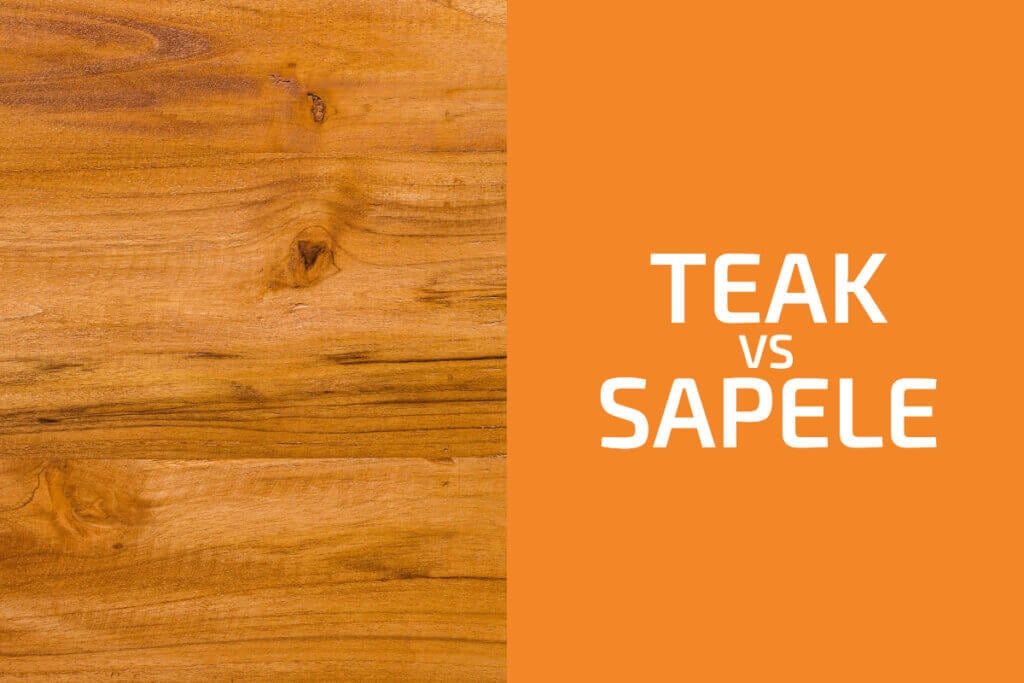 Teak vs. Sapele Which One to Use? Handyman's World
